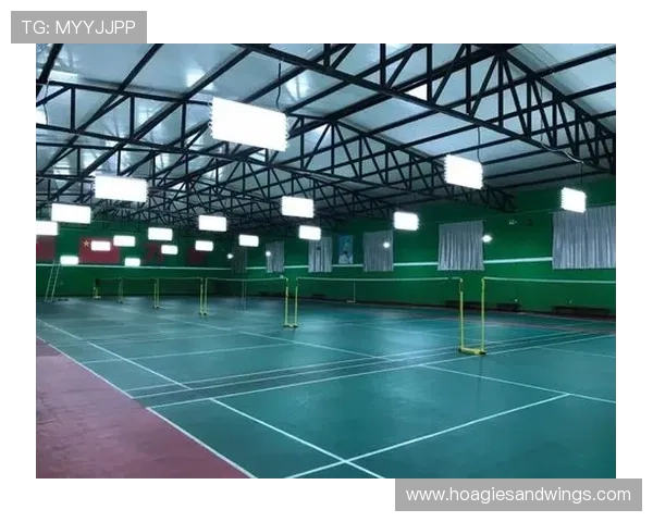 多米体育安卓版助力体育产业数字化转型,推动全民健身新潮流